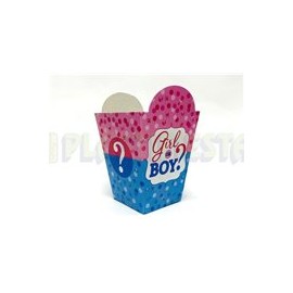 Caja fantasía Girl or boy ? 6 pz
