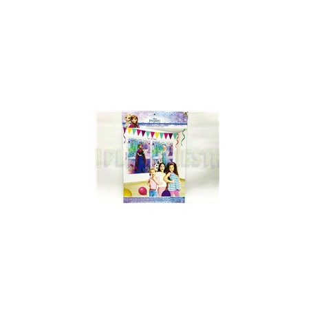 Photo banner Frozen 1 pz