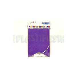 Banderín Bienvenid@ 1 pz